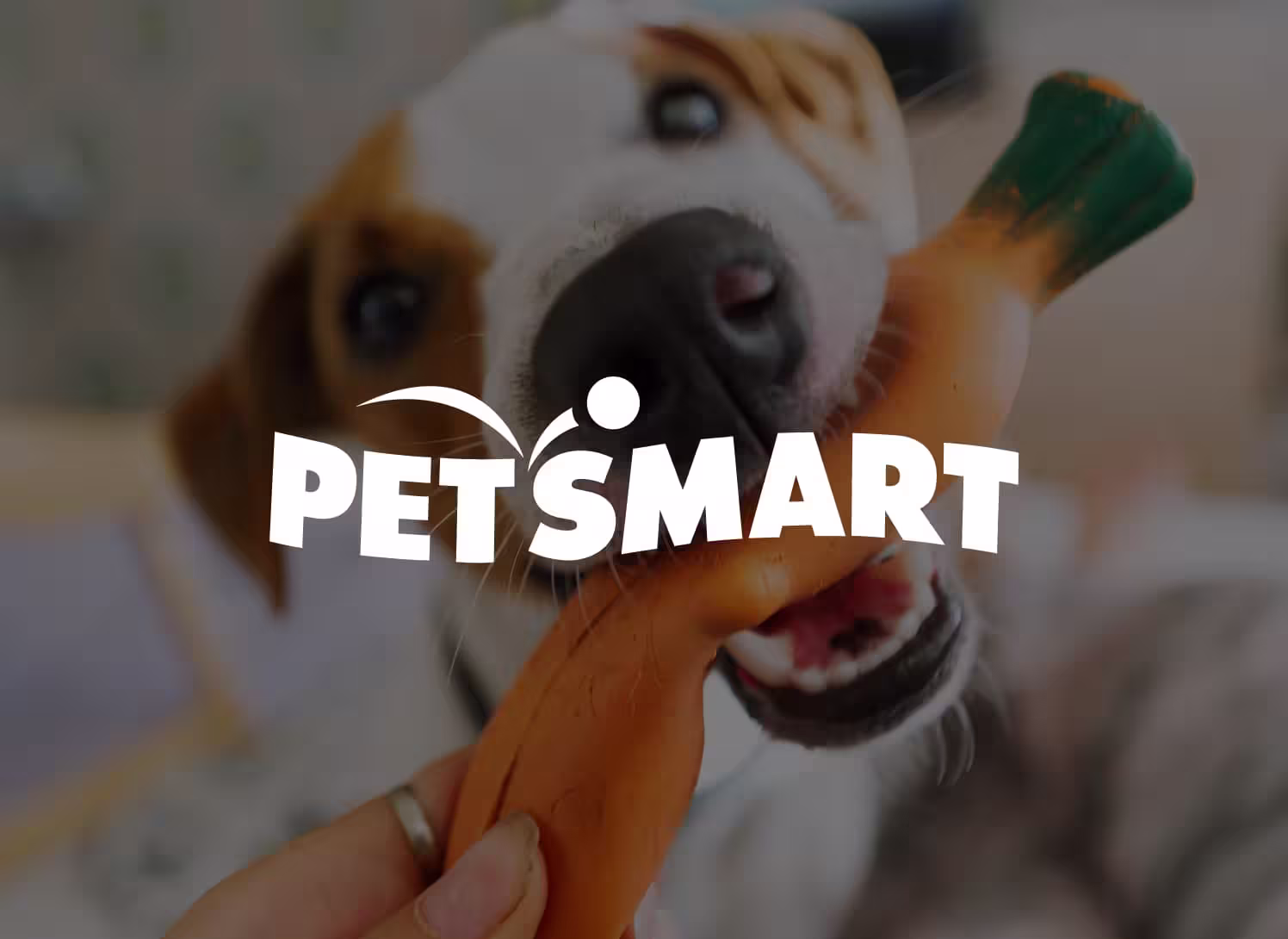 PetSmart improves search performance and relevance with Algolia